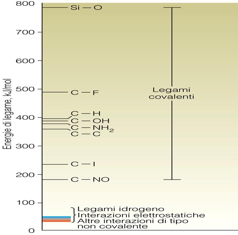 lgami Classificazion di lgami chimici Lgami intramolcolari (forti) Lgami intrmolcolari (dboli) Forza di lgami chimici Ionico (KCl, Na 2 SO 4 )