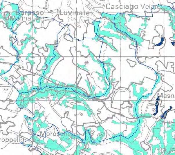 piani a scala vasta PERIMETRAZIONE DELLE AREE BOSCATE Secondo l art.