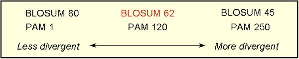 Confronto Confronto Blosum Blosum -- PM PM PM Media score idrofilici = 4 Media score