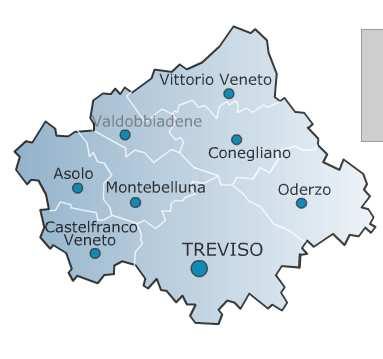 Modello del Piano d azione per i comuni RUOLO DELLA PROVINCIA: La Provincia: - ha preparato un modello standard del Piano d azione - ha introdotto la dimensione del mobility management - ha