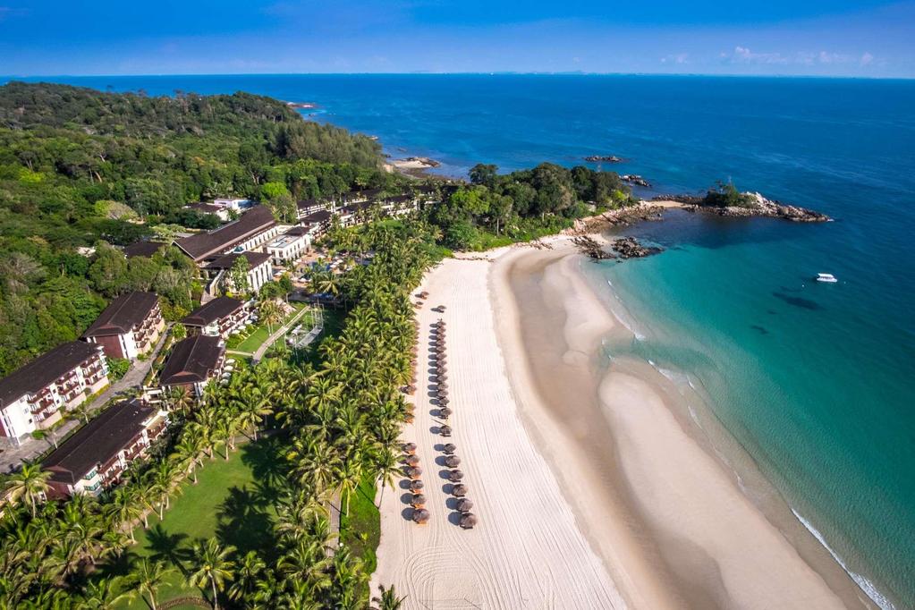 Luna Estate di 2019 Miele Bintan Island 4, Indonesia Ideale per vuole scoprire