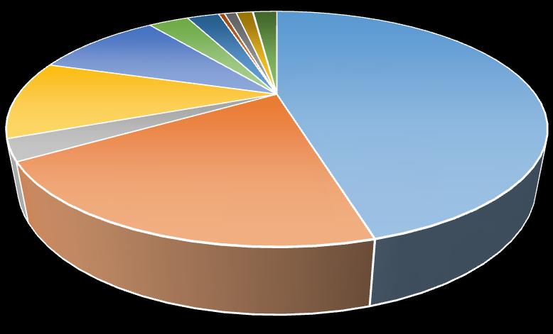 COMPOSIZIONE DELLA RD IN REGIONE ABRUZZO NEL 2015 Composizione raccolta differenziata in Regione Abruzzo nel 2015 Tessili e abbigliamento Metalli e alluminio 0,9% 0,5%