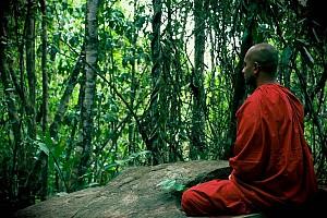 Kandy e nelle rigogliose e spettacolari piantagioni di tè di Nuwara Eliya.