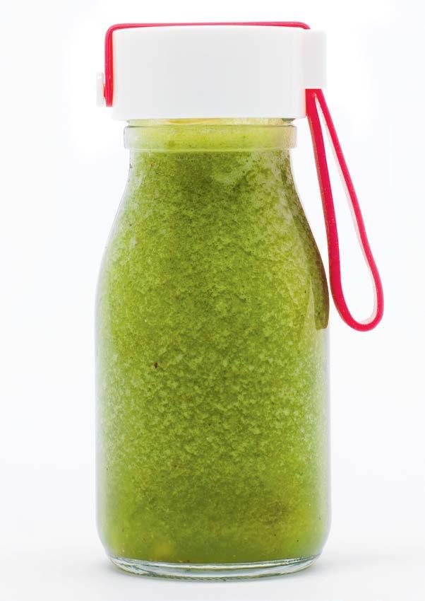oltre 65 ricette deliziose per dare carica ed energia al vostro corpo Fern Green sport smoothies LA BIBBIA