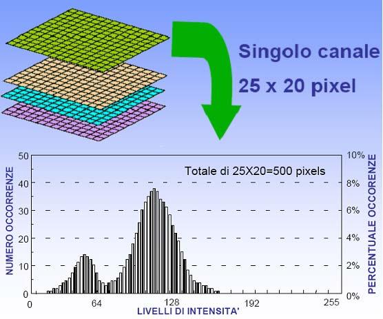 L istogramma di una immagine Per le immagini