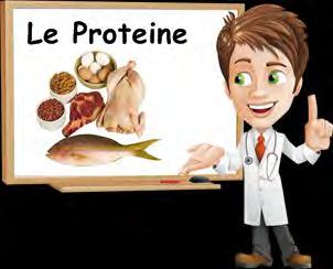 LE PROTEINE Le proteine