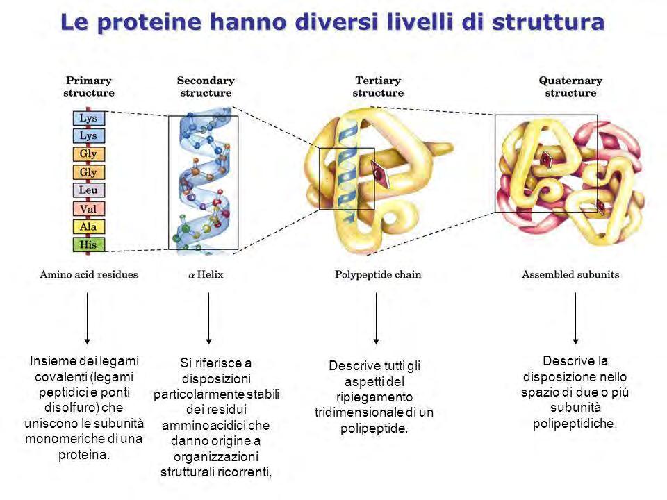 Struttura