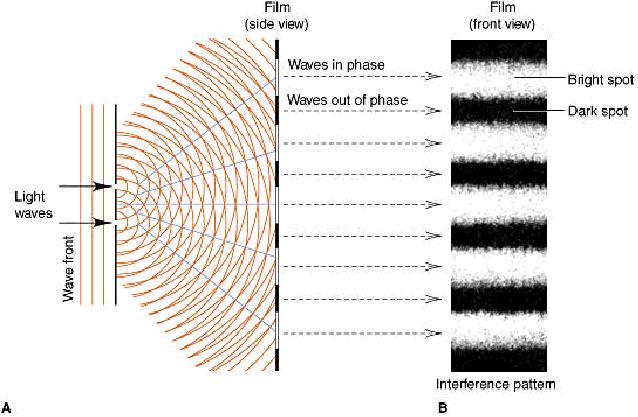 Fronte dell onda Figure di Interferenza (Diffrazione) 11 Causate dalla luce che passa attraverso due fenditure adiacenti (A) e che si sommano o si eliminano in funzione della distanza