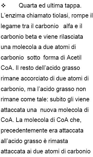 Ad ogni giro di β-ossidazione: Accorciamento di 2 C