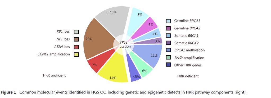 Molecular profiling of serius ovarian cancer BRCA mut 32% gbrca+:14% sbrca+:7% mthbrca:11% HRR 18% HRR