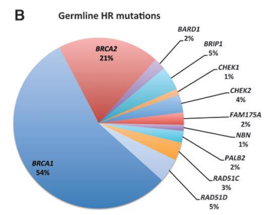 gbrca1/2: