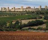 Saranno loro i protagonisti del sabato di "Monteriggioni di Torri si corona" il 9 luglio per un nuovo appuntamento con l'edizione.