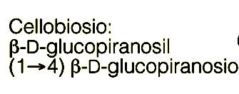 costituito da due molecole di -D-Glucosio unite con legame