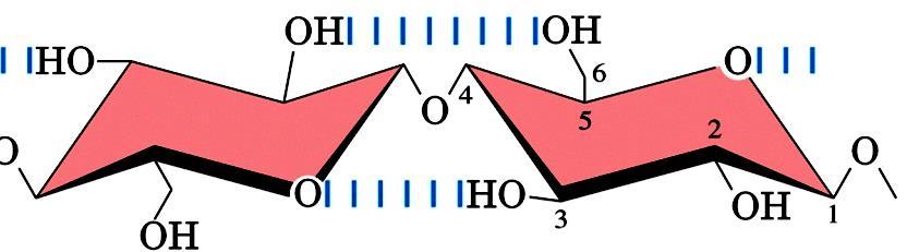 O-glicosidico, 1 4.