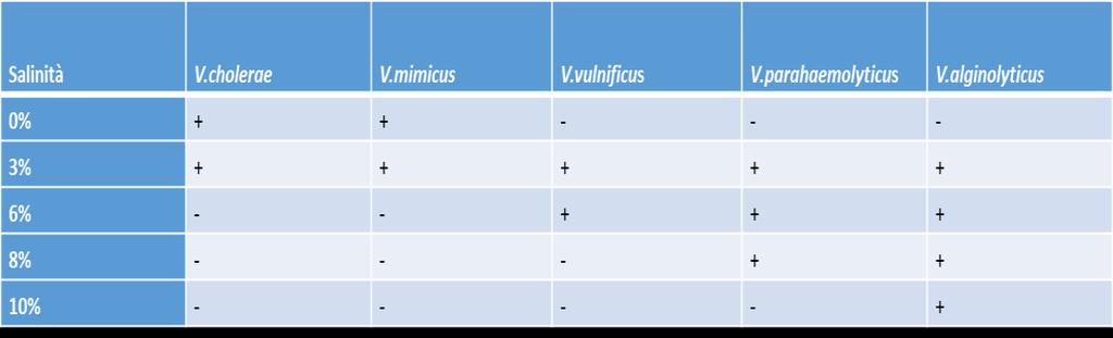 I vibrioni alofili, invece, non sviluppano in assenza NaCl, e la concentrazione ottimale per la loro crescita è del 3%.