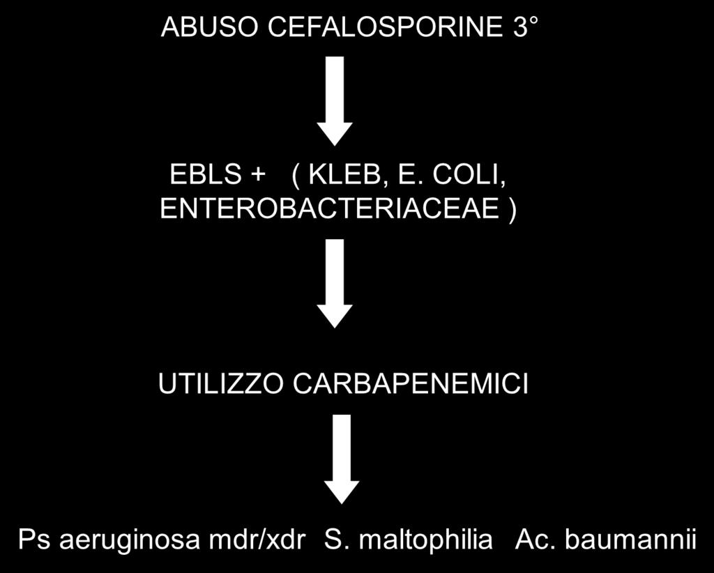 aeruginosa e Acinetobacter species. E. coli e K.