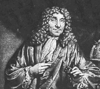 Microscopia ottica ANNO AUTORE CAMPIONI 1665 Robert Hooke sughero 1670-1680 Anthony van spermatozoi, Leewenhoek globuli rossi, batteri 1838 Matthias Schleiden