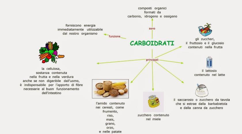 L organismo umano, attraverso i processi digestivi, trasforma tutti i carboidrati in glucosio e glicogeno.