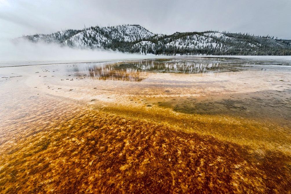 mete. Nel caso non si disponesse sarà possibile fare acquisti a Bozeman prima di muoverci verso il parco. Poiché il parco sarà ricco di fauna è consigliato l utilizzo di una lente lunga.