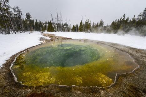 Grand Canyon e la Hayden Valley. Pernottamento all Old Faithful Snow Lodge. Colazione e pranzo inclusi.