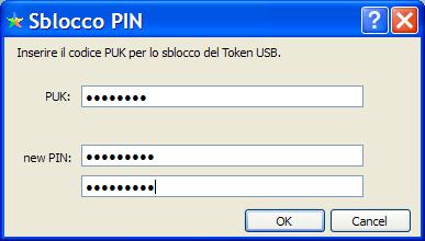 Cambio/Sblocco PIN Cambio/Sblocco PIN Singolo Utente Impostare nei campi previsti del form il PUK e successivamente inserire i nuovi valori del PIN che si intende utilizzare.