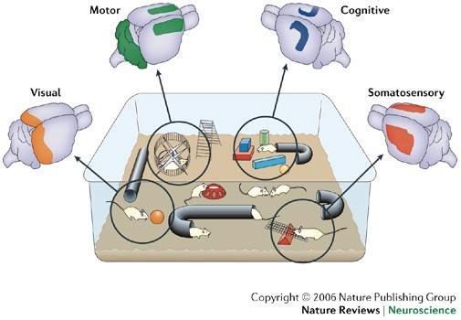 Epigenetica: reversibilità?