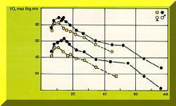 I numerosi lavori di Astrand, Cerretelli, Robinson, Di Prampero e Bar-Or hanno evidenziato una capacità di lavoro aerobico (V02 max, cioè massimo consumo di ossigeno) particolarmente favorevole nei