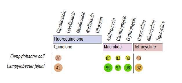 Campylobacter spp. Prevalenza nei polli d allevamento (2014): - C. jejuni 33% - C.