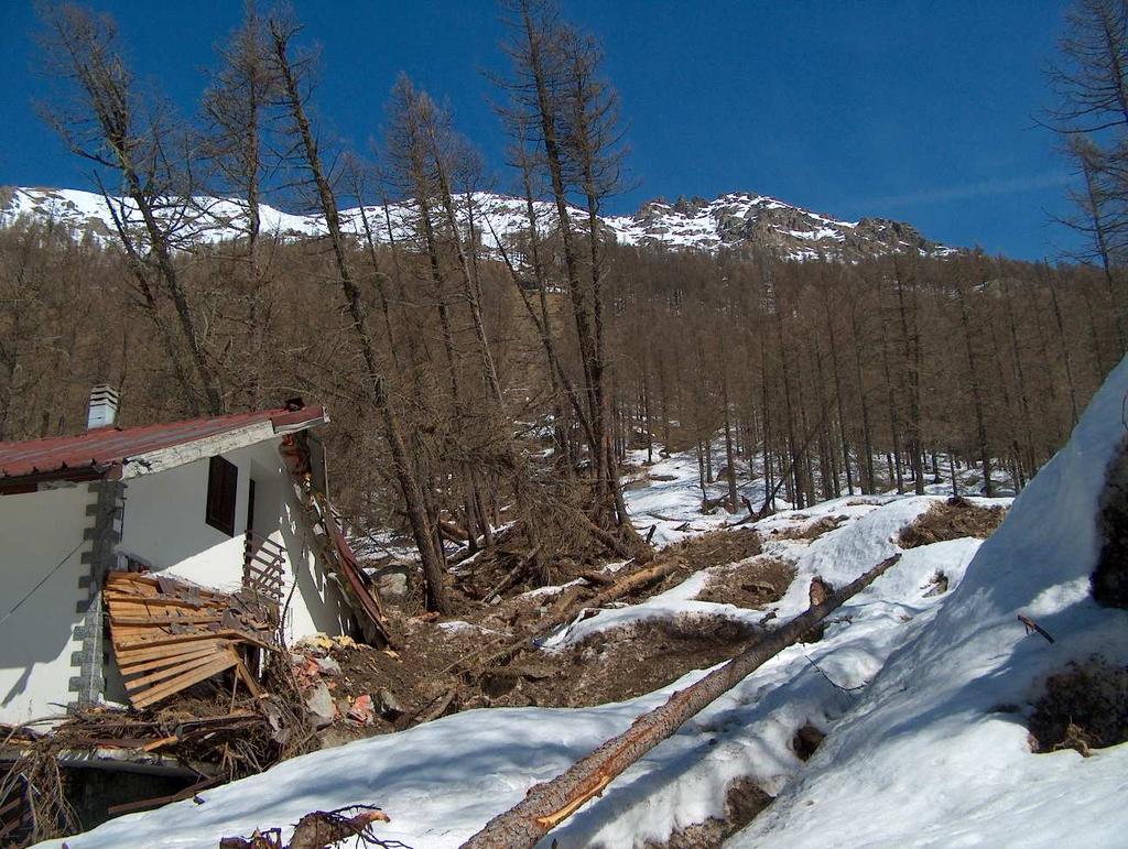 Tipologia investimenti ammissibili Tipologia 3c) Interventi di stabilizzazione dei versanti finalizzati alla prevenzione di dissesti valanghivi mediante la