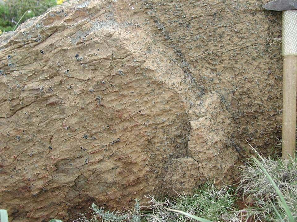 Contatto netto fra una peridotite a spinello