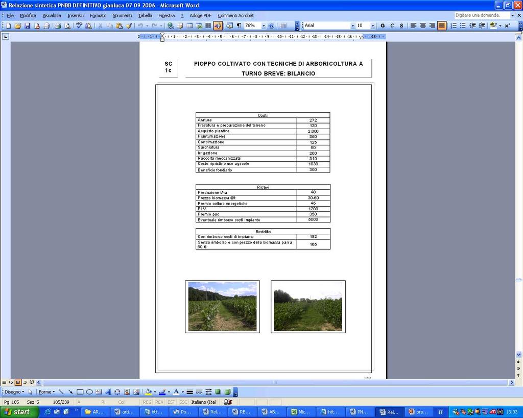 ELABORAZIONE DI STRATEGIE Redazione di schede colturali per: pioppo, robinia, colza, girasole, sorgo, triticale, mais, topinambur, barbabietola, cardo, miscanto, canna comune.