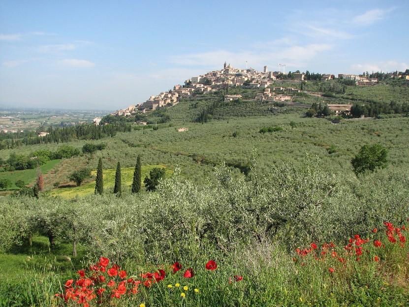 UMBRIA UNA SCOPERTA ENO-GASTRONOMICA 215 Questo viaggio offre la possibilità di conoscere l'umbria in un modo differente.