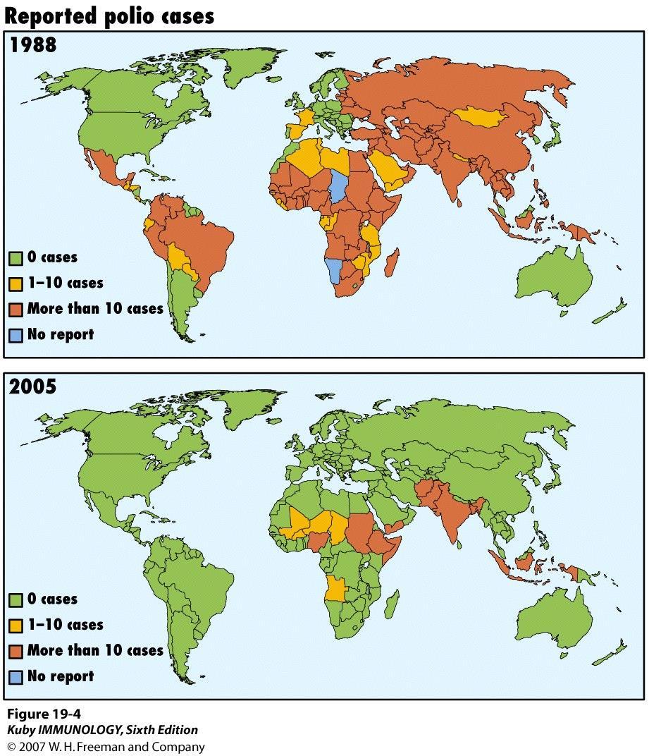 Next goal of WHO: eradication of poliovirus 1988; resolution