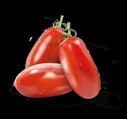 linea rossa Pomodori pelati Peeled tomatoes I Pomodori Pelati rappresentano la più classica delle