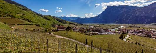 Serso, ubicata nelle vicinanze di Pergine Valsugana, sul lato destro del torrente Fersina in prossimità della Valle dei Mocheni, è in assoluto la zona più vocata per la produzione di bianchi in