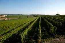 I vini che ne derivano sono austeri, con un panorama di profumi speziato e complesso. Vini dal grande potenziale di invecchiamento.