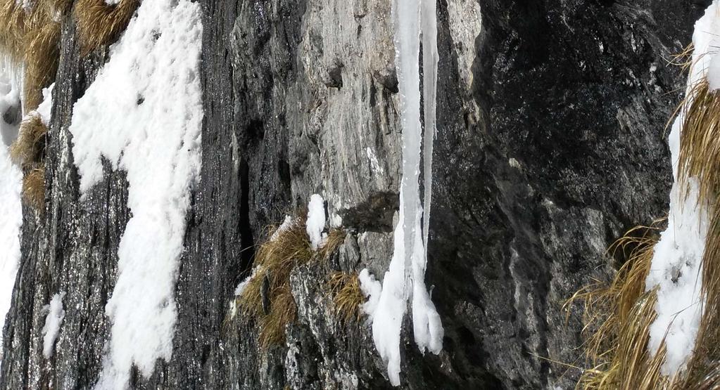 fondamentali per poter svolgere con ragionevole sicurezza le seguenti attività: arrampicata su roccia di II e III con eventuali passaggi