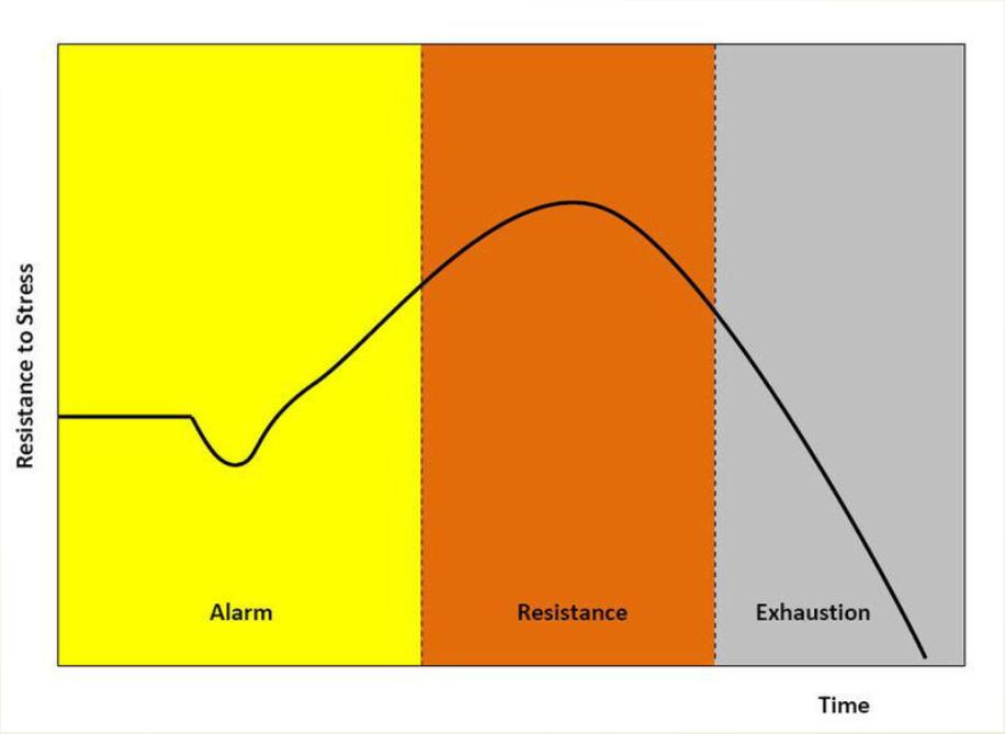 L'evoluzione della sindrome da STRESSavviene in tre fasi: Allarme, l'organismo risponde agli stimoli negativi mettendo in atto meccanismi di fronteggiamento(coping) sia fisici che mentali.