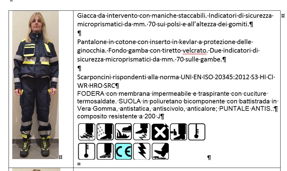 Manuale sulla sicurezza - Contenuti Principali caratteristiche