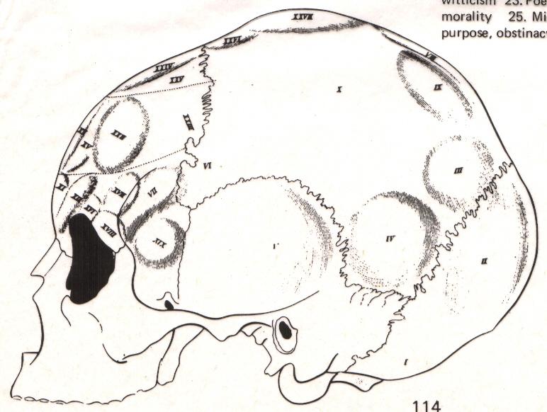 L organologia o frenologia di Gall mente come insieme integrato di