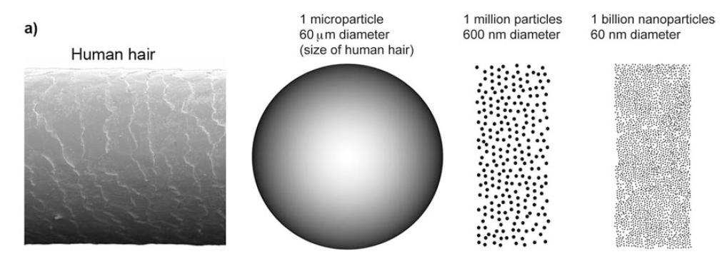 Cosa significa nano?