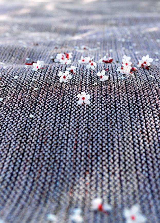 Paglietta Prezioso e contemporaneo. L intreccio sofisticato e insieme straordinariamente funzionale di Paglietta, rappresenta forse la sintesi perfetta del tappeto moderno secondo G.T. Design.