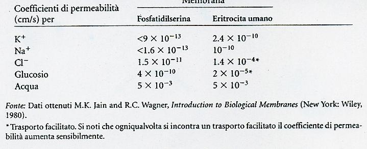 I COEFFICIENTI DI PERMEABILITÀ PER ALCUNI