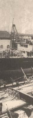 Guerrazzi, costituì a Livorno il 29 giugno 1914 la società anonima "Navigazione Toscana", che subentrò nell'esercizio delle linee dell'arcipelago alla compagnia provvisoria "Servizi Marittimi
