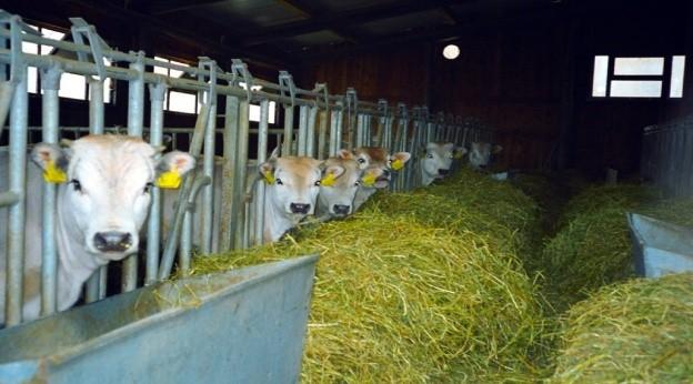 GLI EFFETTI DEL GREENING IN ITALIA Azienda cerealicola in Puglia Azienda zootecnica in Lombardia Azienda orticola in Abruzzo pre riforma pre riforma pre riforma