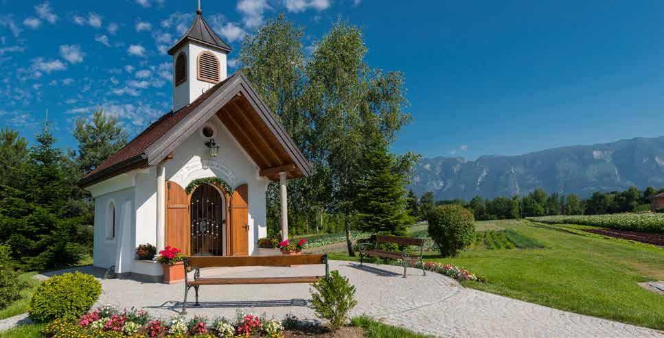 Il podere, costituito dall edificio principale, dall hotel e dall azienda agricola è gestito da diverse generazioni secondo la stessa filosofia.