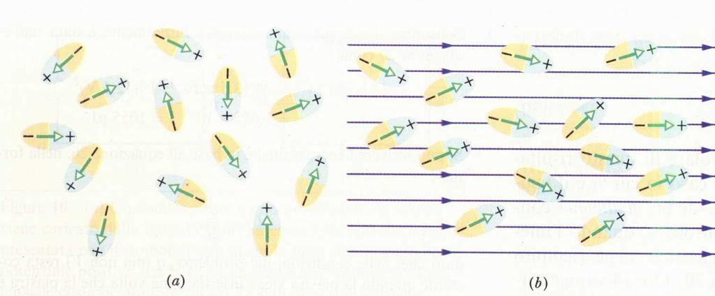 Dielettrici dal punto di vista atomico dielettrici polari