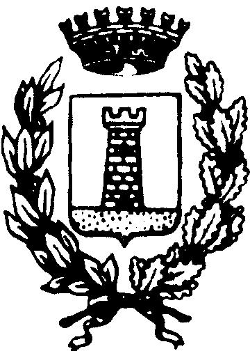 COMUNE DI CHIONS - Provincia di Pordenone - Approvato con delibera del Consiglio Comunale