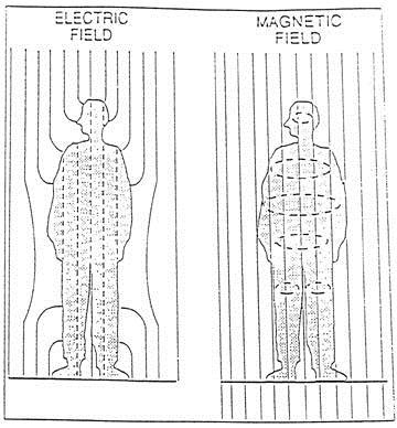 COMPATIBILITA ELETTROMAGNETICA CONFRONTO TRA CAMPO ELETTRICO E MAGNETICO CAMPO ELETTRICO CAMPO MAGNETICO Effetti sugli esseri umani Il campo elettrico E non