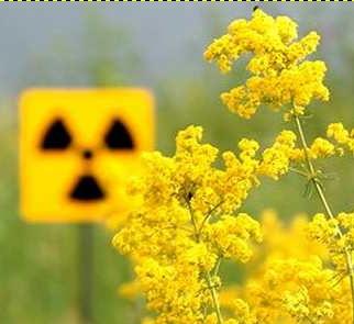 La radioattività nell ambiente L ambiente Per ottemperare alle regolamentazioni nazionali ed europee, viene monitorata la radioattività presente in ambiente tramite misure di dose gamma e del